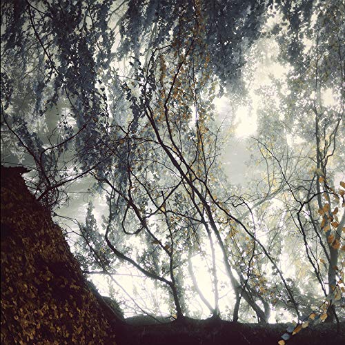 Various - Gazing Light Eternity [VINYL]