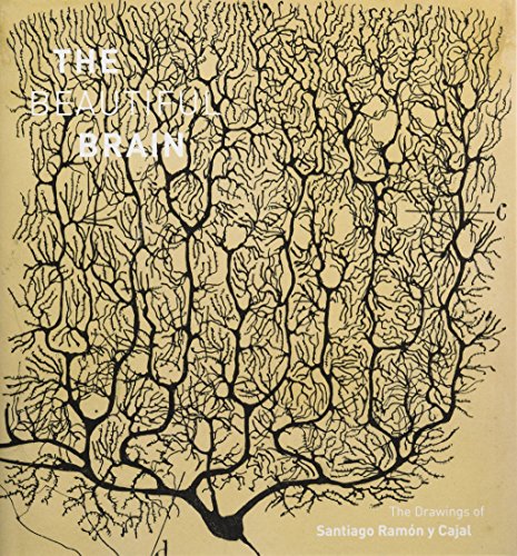 The Beautiful Brain: The Drawings of Ramon y Cajal: The Drawings of Santiago Ramon y Cajal