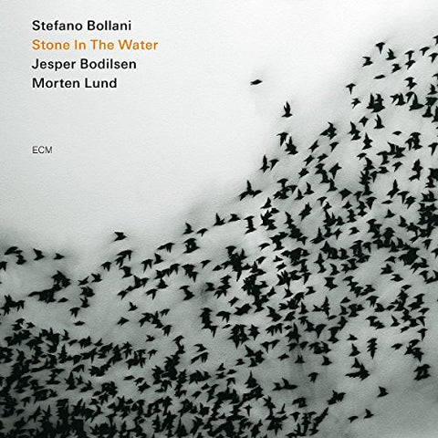 Stefano Bollani Trio - Stone In The Water [CD]