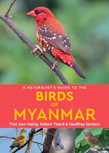 A Naturalist's Guide to the Birds of Myanmar (Naturalists' Guides)