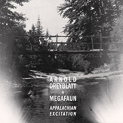 Arnold Dreyblatt & Megafaun - Appalachian Excitation [VINYL]