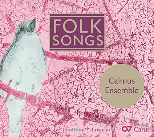 "CD cover with a bird on a branch against a pink floral background."
