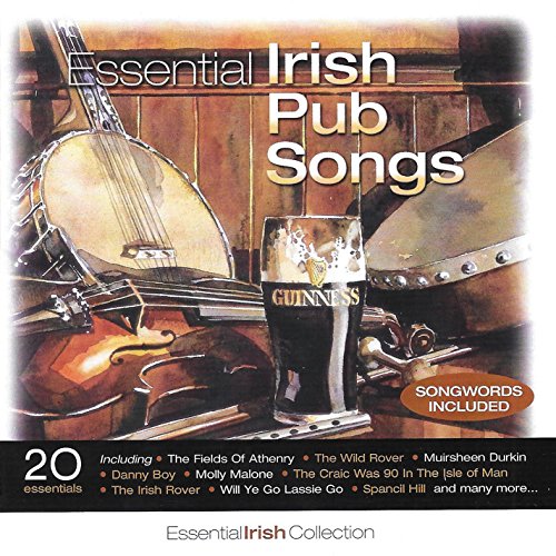 "CD cover with banjo, violin, and Guinness glass, titled 'Essential Irish Pub Songs'."