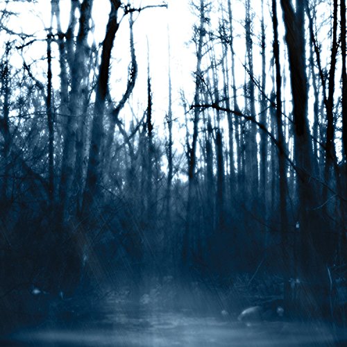 The image depicts a dark forest with bare trees and a misty atmosphere. For the given product "Wekeend Nachos - Still [CD]" with EAN: 781676724826, a suitable alt text could be: "CD case with a dark forest cover."
