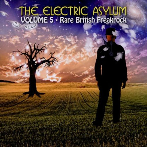 Various Artists - The Electric Asylum Vol 5 [CD]