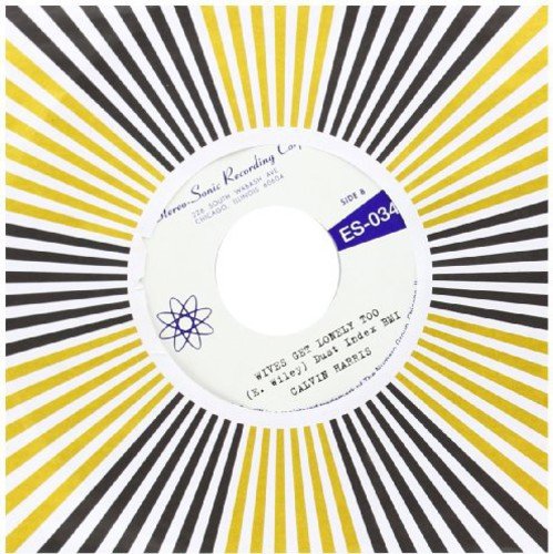 Calvin Harris - LOVES RECIPE [7"] [VINYL]
