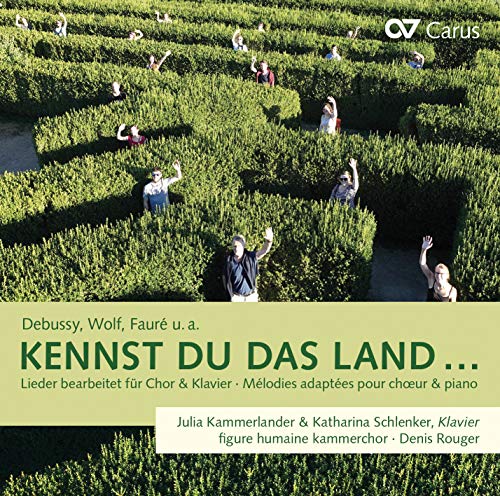 "CD cover with people in a hedge maze and green text on a beige background."