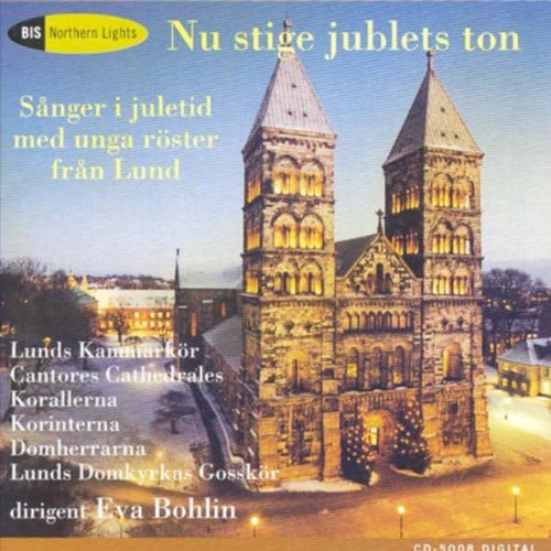 Various - NU STIGE JUBLETS TON [CD]