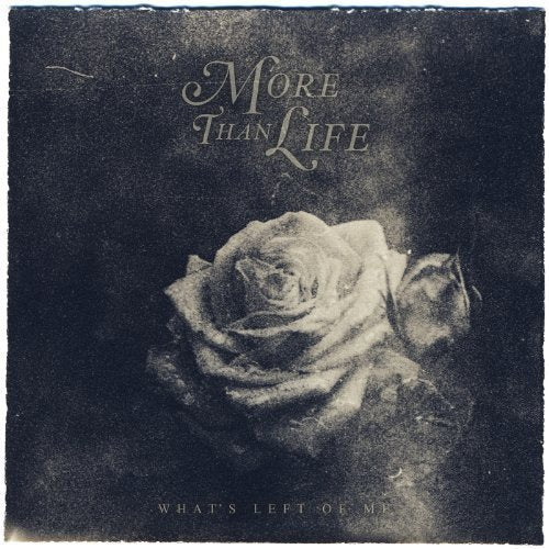Album cover with a white rose on a dark background, titled "More Than Life".