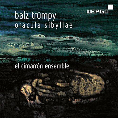 A CD cover featuring a skull with a dark, abstract background and white text.
