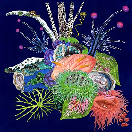 Various - Touche [VINYL]