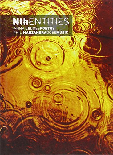 Album cover with abstract golden pattern and white text "Nth Entities".