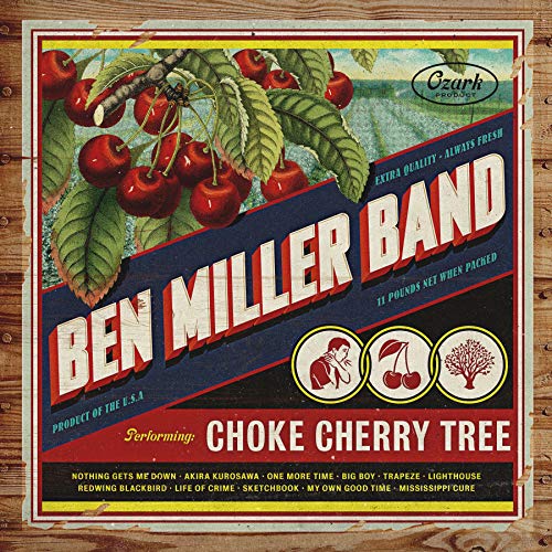 "Vinyl record cover featuring a cherry tree branch and album title."