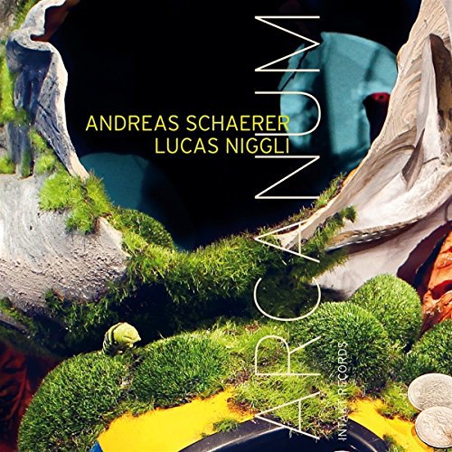 "CD cover featuring a surreal landscape with moss, coins, and abstract shapes."