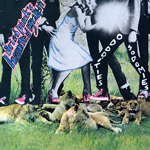 Vinyl album cover featuring a surreal scene with people and lions in a grassy field.