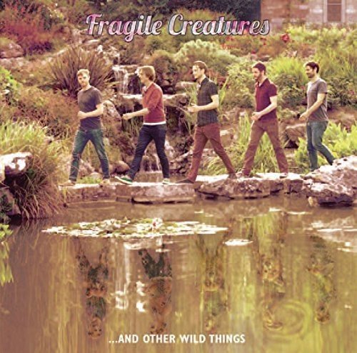 Vinyl album cover featuring five men walking on rocks over a pond.