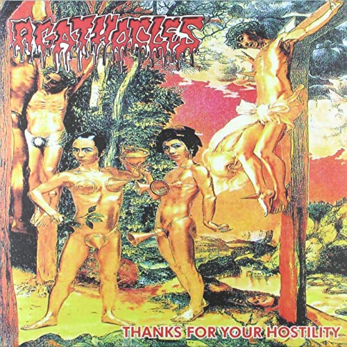 Agathocles - Thanks For Your Hostility [VINYL]