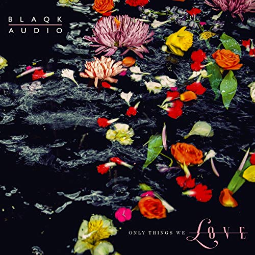 Blaqk Audio - Only Things We Love (Water Picture Disc) [VINYL]
