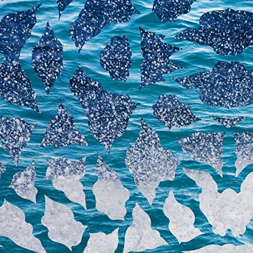 A vinyl record sleeve with a blue and white abstract pattern.