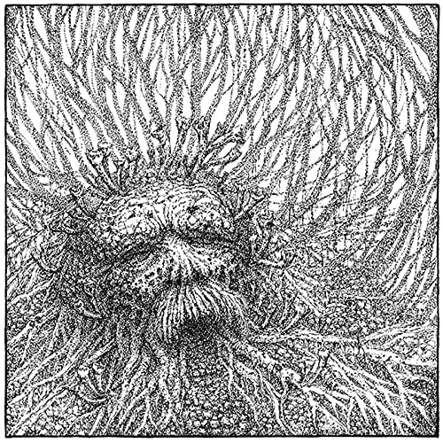 Nemorous - Nemorous (White/Black Vinyl) [VINYL]