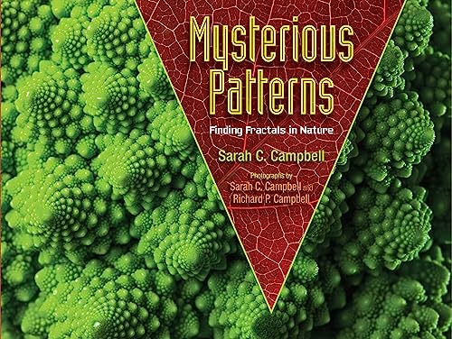 Mysterious Patterns: Finding Fractals in Nature