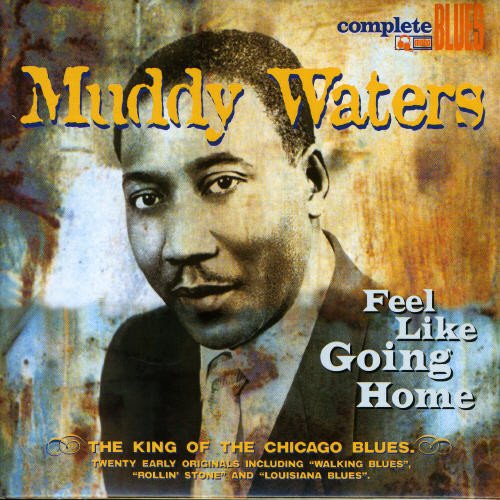 Muddy Waters CD cover featuring a portrait of the musician against a mottled background.