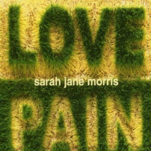 "Album cover with 'LOVE' and 'PAIN' in grassy letters and artist's name in center."