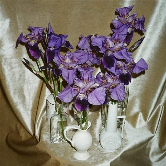 Dives - Wanna Take You There [VINYL]