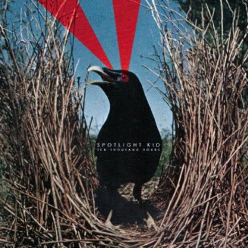 "Album cover featuring a black crow in a nest with red spotlights."