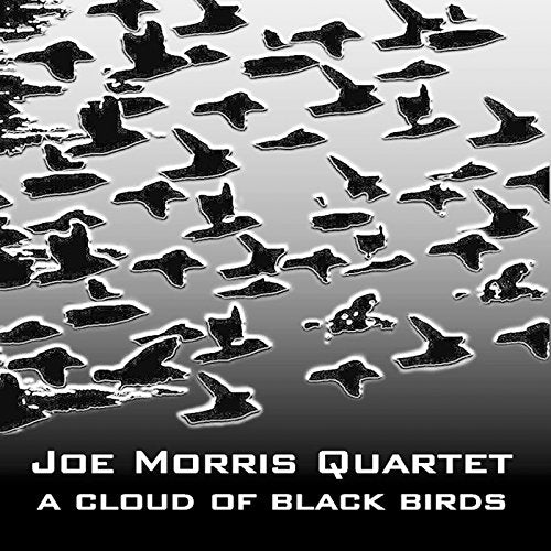 Album cover with black birds on water, title "A Cloud of Black Birds" in white.