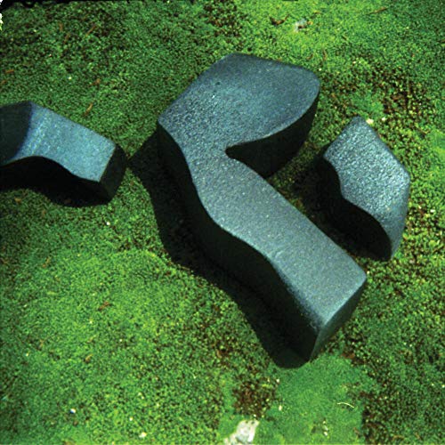 The image depicts a vinyl record with a black cover art on a green background. Alt text: Black vinyl record cover with heart design on green background.