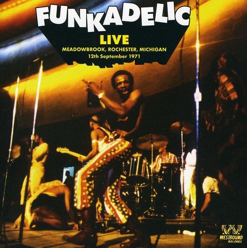 Funkadelic album cover featuring a shirtless man playing guitar on a dimly lit stage.