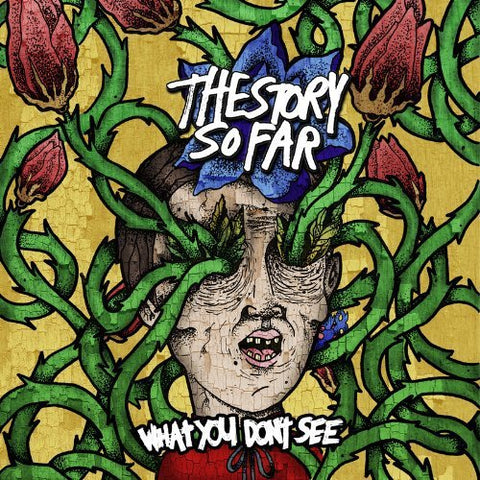 Story So Far The - What You Don't See [CD]