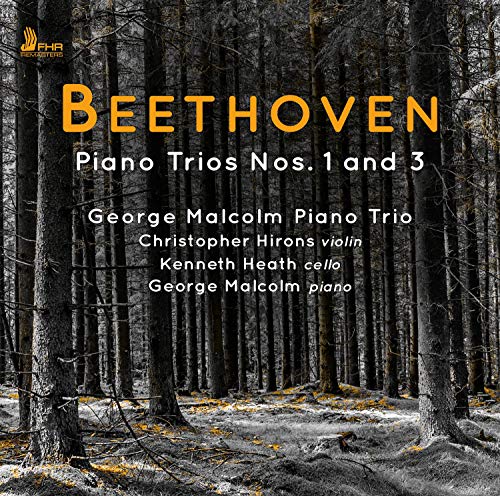 CD cover featuring Beethoven's Piano Trios, with a forest background and yellow title text.