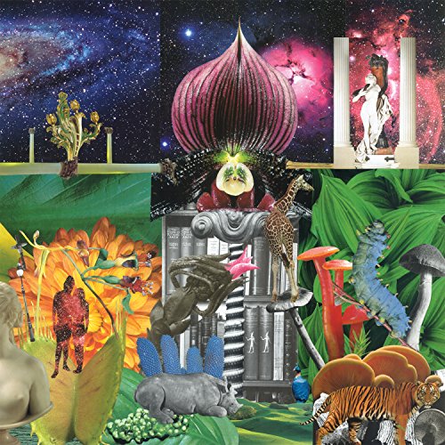 "Vibrant collage of surreal images, including animals, plants, and abstract shapes on a cosmic background."