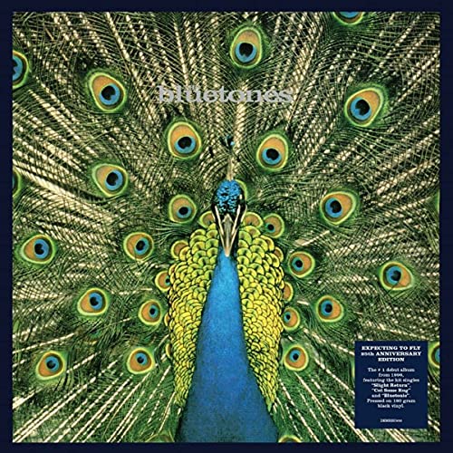 Bluetones The - Expecting To Fly - 25th Anniversary Edition (180g Black Vinyl - Gatefold) [VINYL]