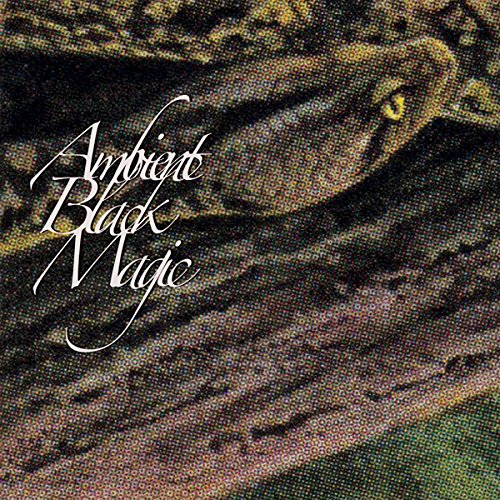 Rainforest Spiritual Enslavement - Ambient Black Magic [CD]