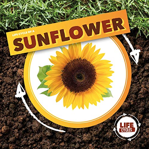 Life Cycle of a Sunflower (Life Cycles)