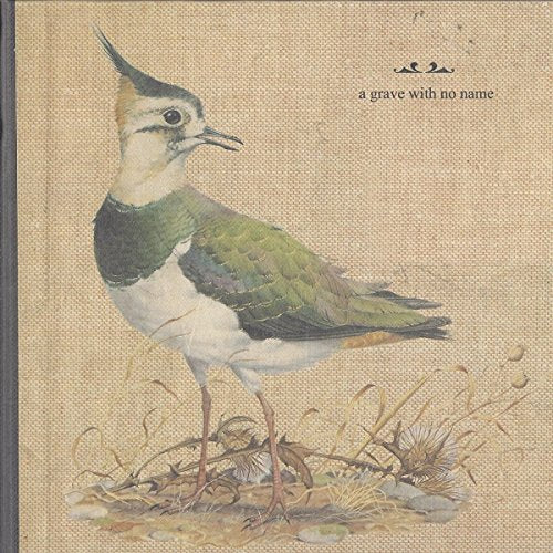 "Album cover featuring a bird with a long crest on beige background."