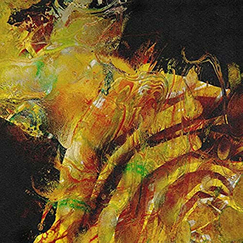 Imminence - Heaven In Hiding [CD]