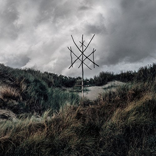 A vinyl record cover featuring a wooden sculpture in a grassy, cloudy landscape.