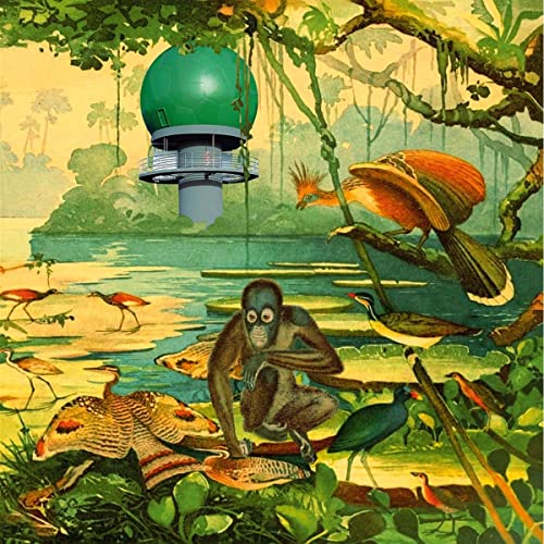 Various Artists - Radar 2 [VINYL]