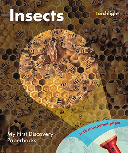 Insects (My First Discovery Paperbacks / Torchlights)