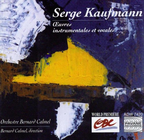 A CD cover with abstract dark blue, yellow, and white paint strokes and text.