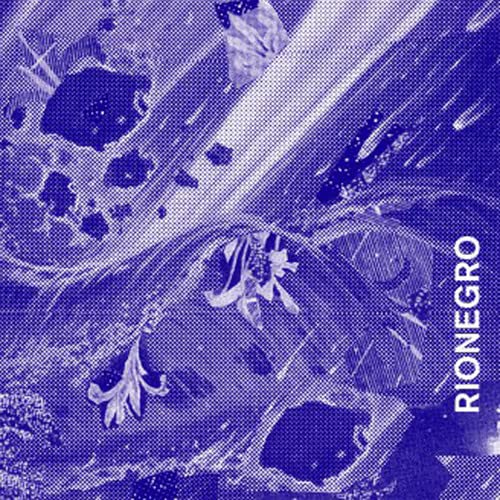 Various - Rionegro [VINYL]
