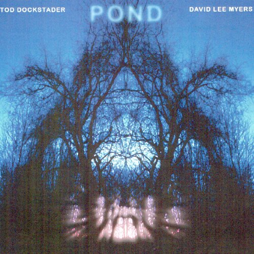 "Album cover for 'Pond' by Tod Dockstader and David Lee Myers, featuring mirrored trees."
