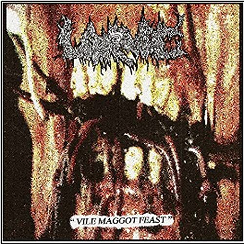 Larvae - Vile Maggot Feast [CD]