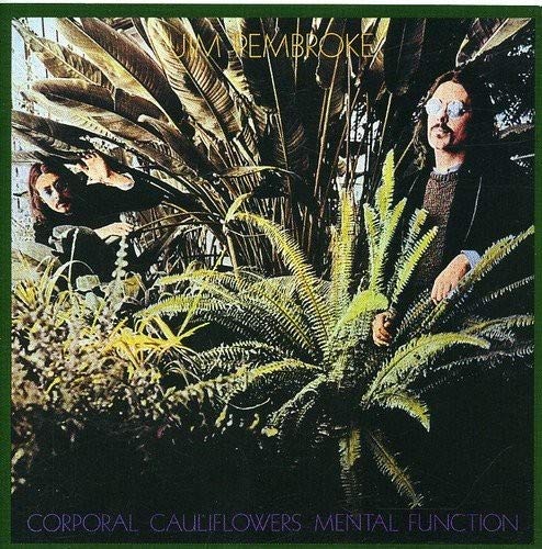 Vinyl album cover with two men surrounded by tropical plants and ferns, text at top and bottom.