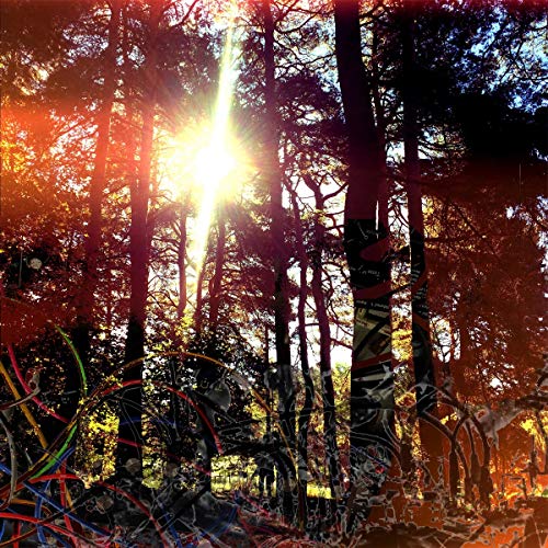 The alt text for the image is: "CD cover art with abstract forest scene and colorful scribbles."