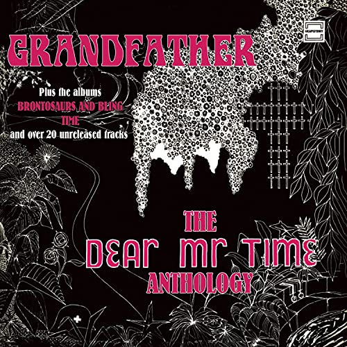 Black album cover with pink text and white floral designs and abstract shapes.